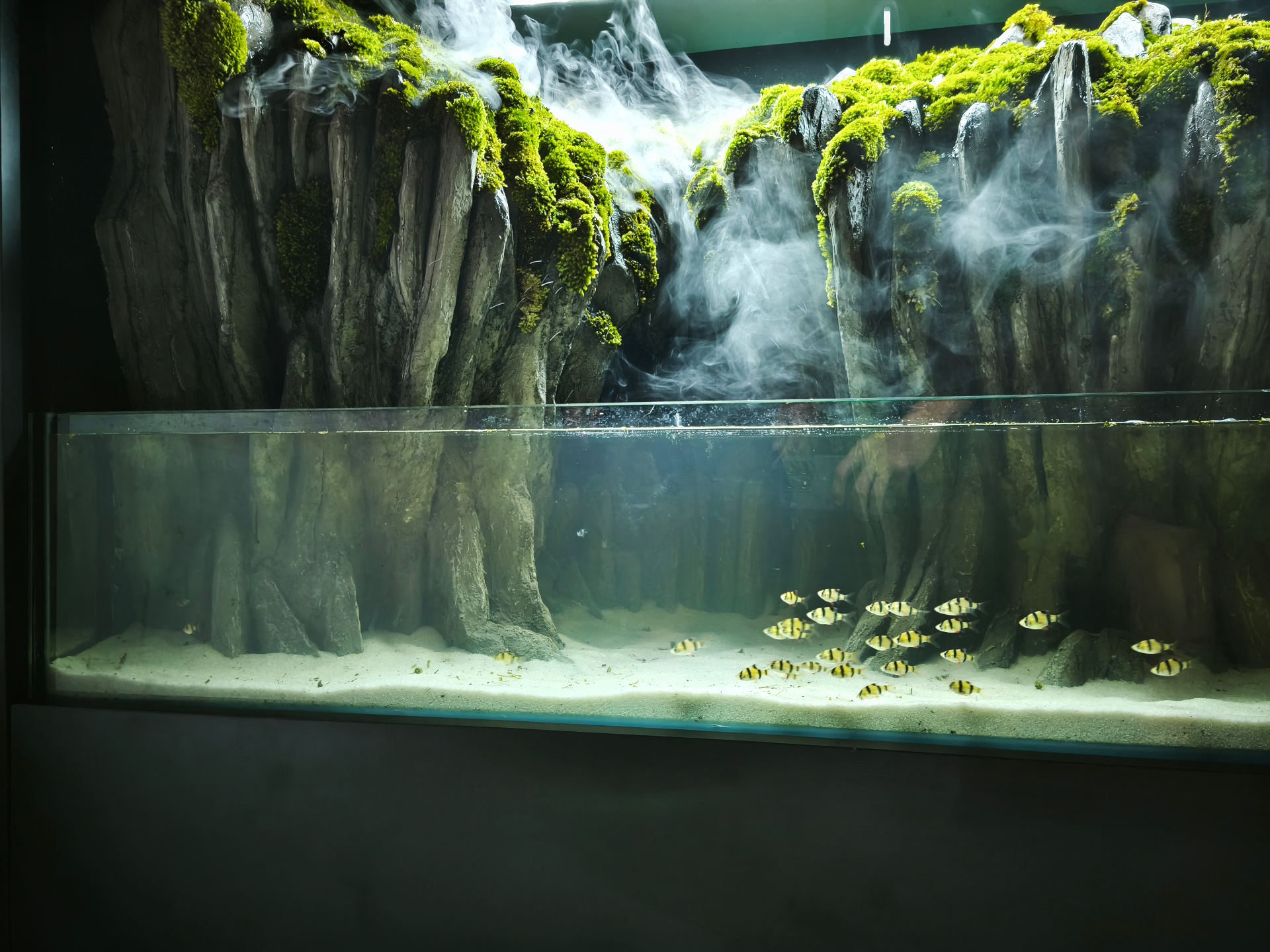 Paludarium detail 10